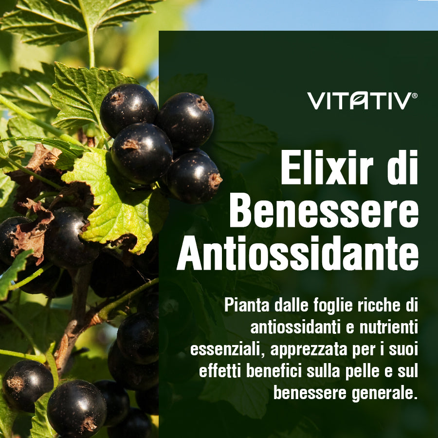Estratto di Ribes Nero | 100% Vegetale 30ml