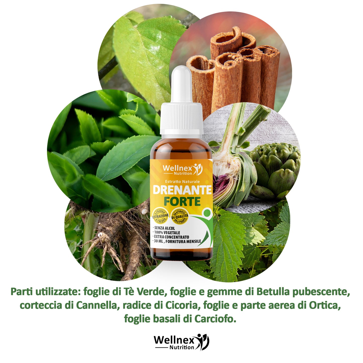 Drenante Forte 30ml - Estratto Naturale da 6 piante Detox