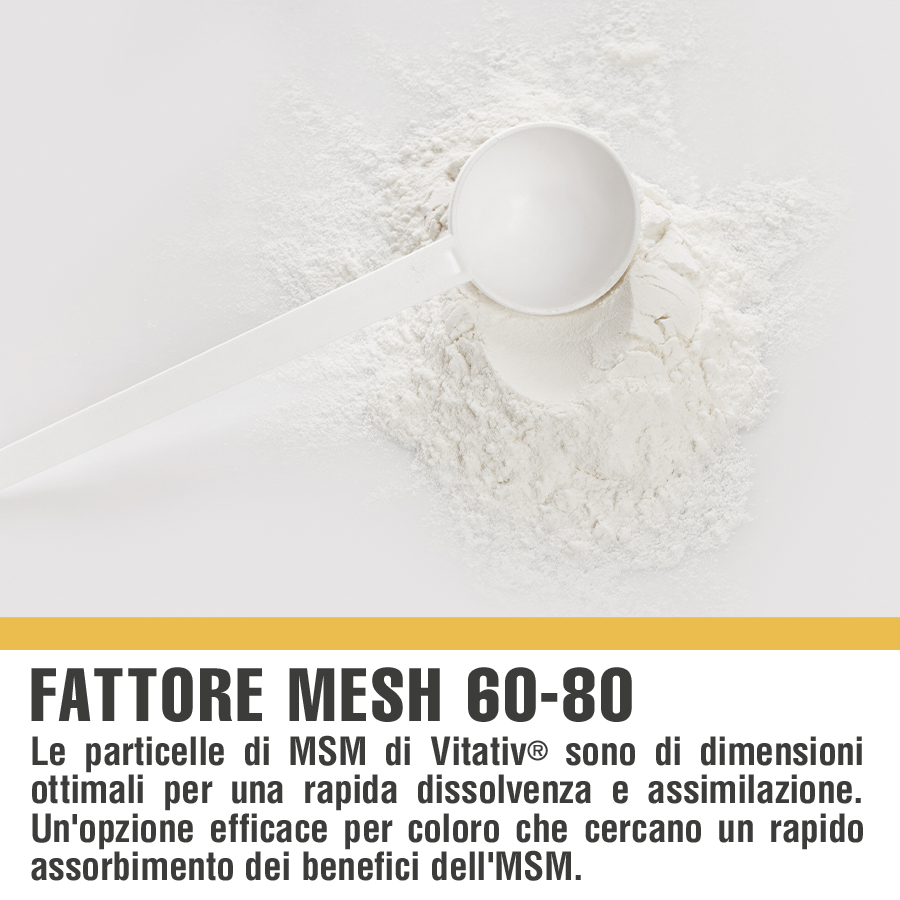 Metil Sulfonil Metano (MSM)