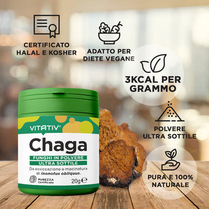 Funghi Chaga | Polvere 20g | Purezza 100%