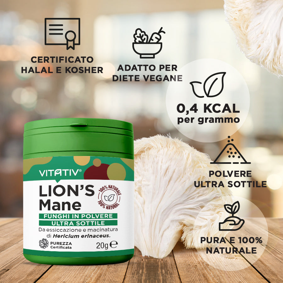 Funghi Lion's Mane | Polvere 20g | Purezza 100%