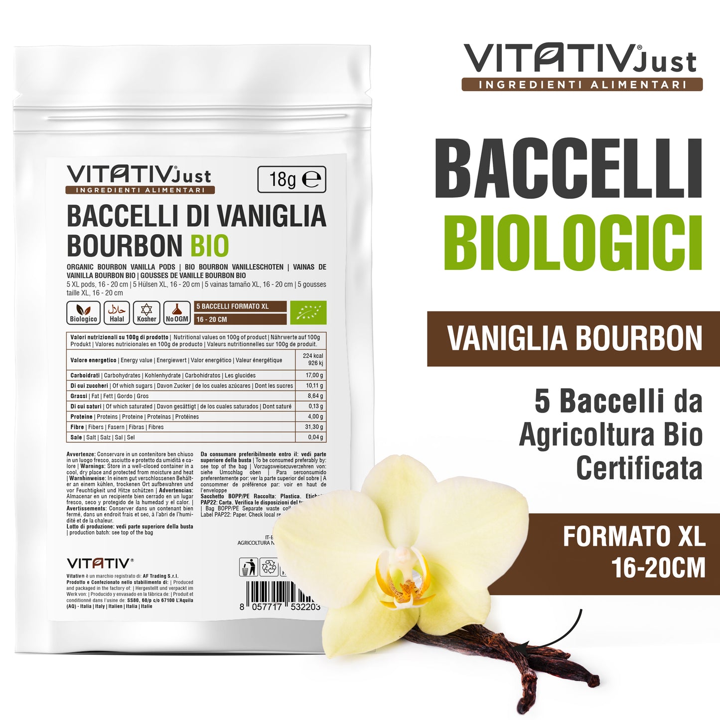 Baccelli di Vaniglia Bourbon BIO | Formato XL