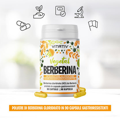 Berberina | 90 Capsule Gastroresistenti