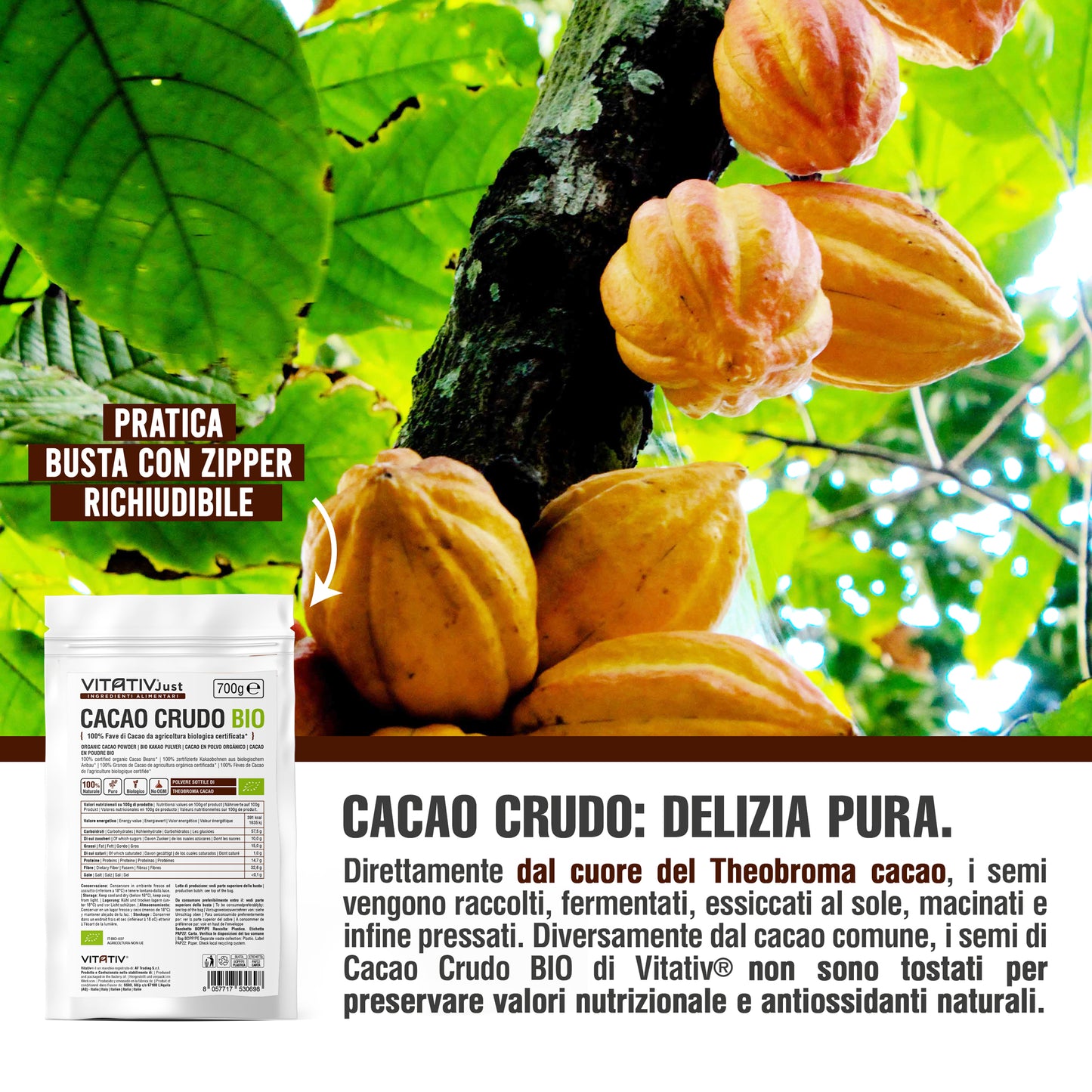 Cacao Crudo BIO in Polvere | 700g