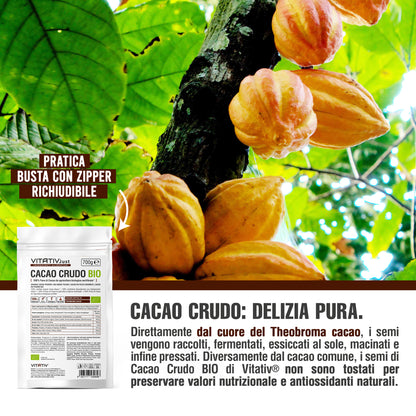 Cacao Crudo BIO in Polvere | 700g