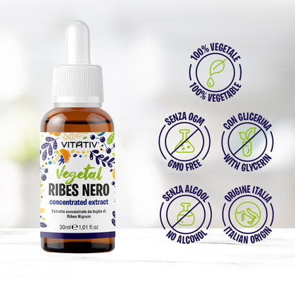 Estratto di Ribes Nero | 100% Vegetale 30ml
