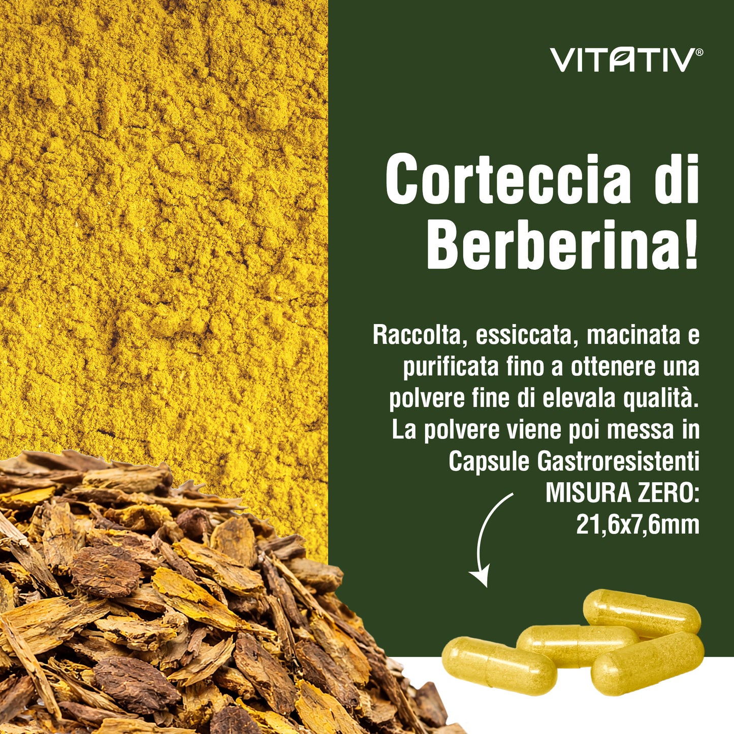 Berberina | 90 Capsule Gastroresistenti