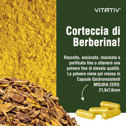 Berberina | 90 Capsule Gastroresistenti