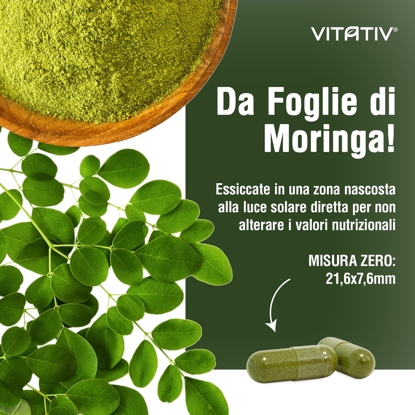 Moringa Oleifera | 90 Capsule da 360mg