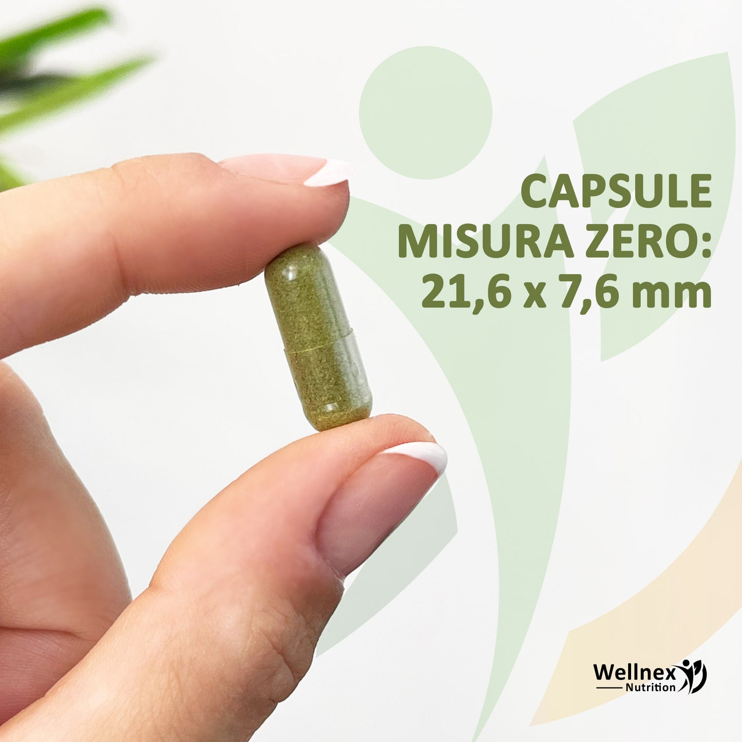 Moringa Oleifera 360mg - 90 Capsule Gastroresistenti