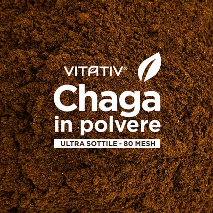 Funghi Chaga | Polvere 20g | Purezza 100%