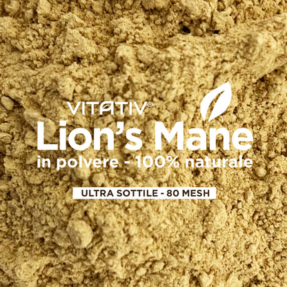 Funghi Lion's Mane | Polvere 20g | Purezza 100%