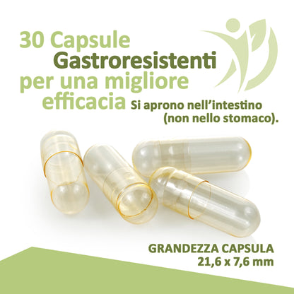 Moringa Oleifera 360mg - 90 Capsule Gastroresistenti