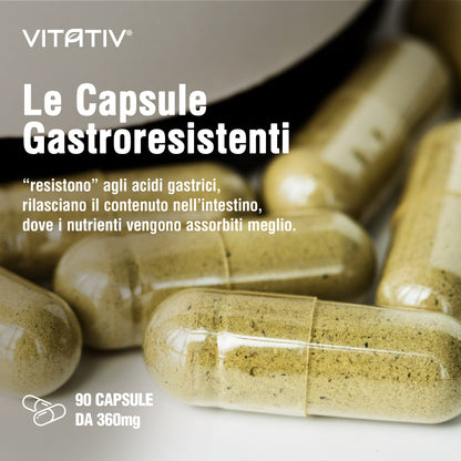 Moringa Oleifera | 90 Capsule da 360mg