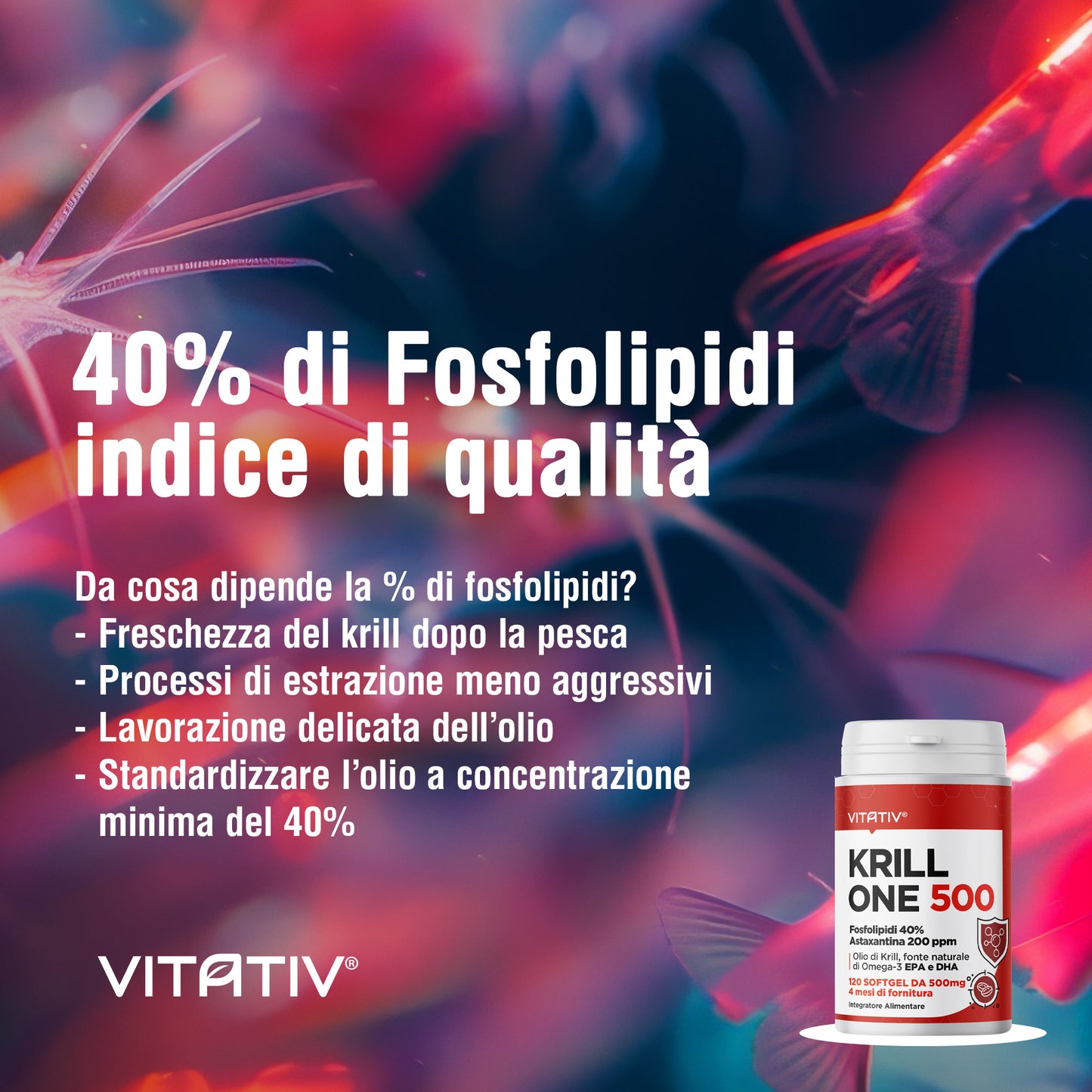 Krill ONE | Olio di Krill 500mg | 40% Fosfolipidi