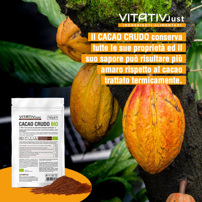 Cacao Crudo BIO in Polvere | 700g