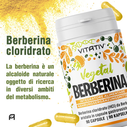 Berberina | 90 Capsule Gastroresistenti