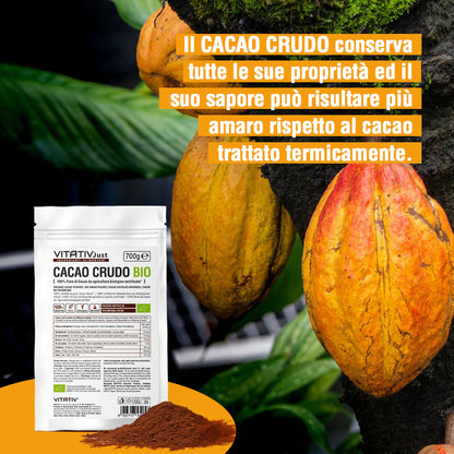 Cacao Crudo BIO in Polvere | 700g