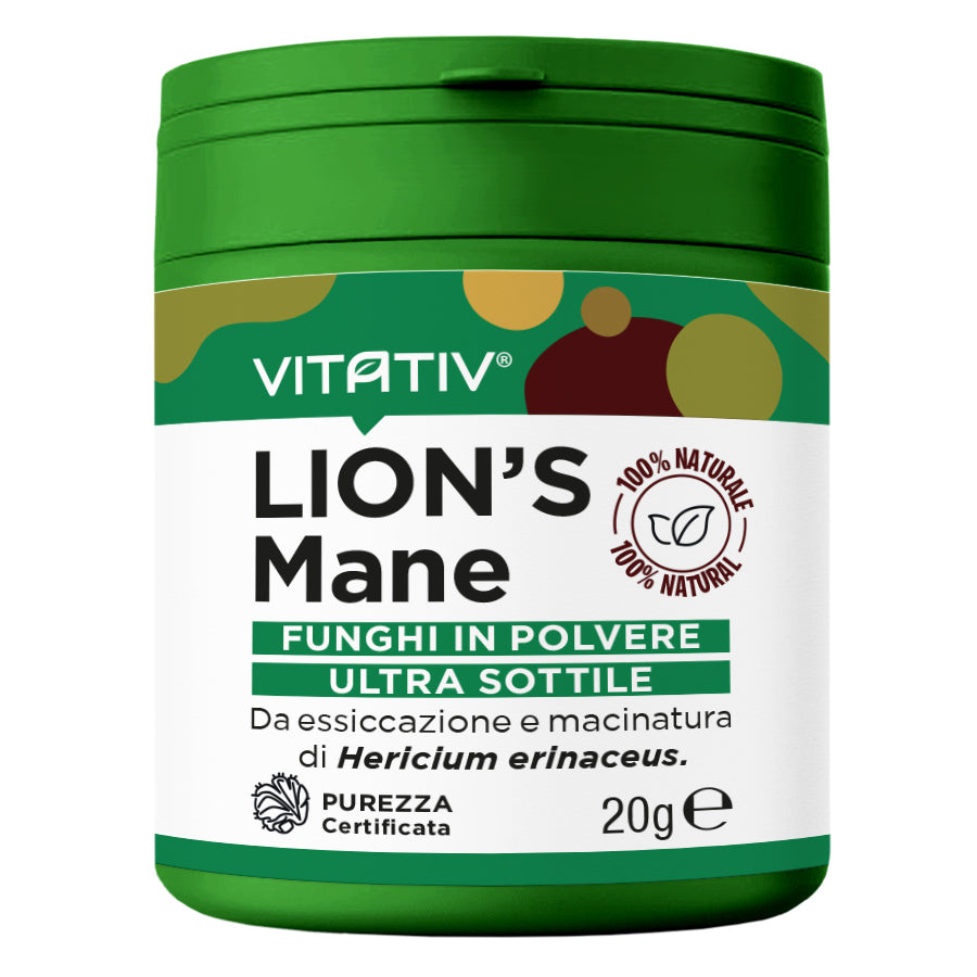 Funghi Lion's Mane | Polvere 20g | Purezza 100%