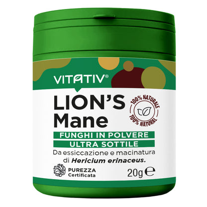 Funghi Lion's Mane | Polvere 20g | Purezza 100%