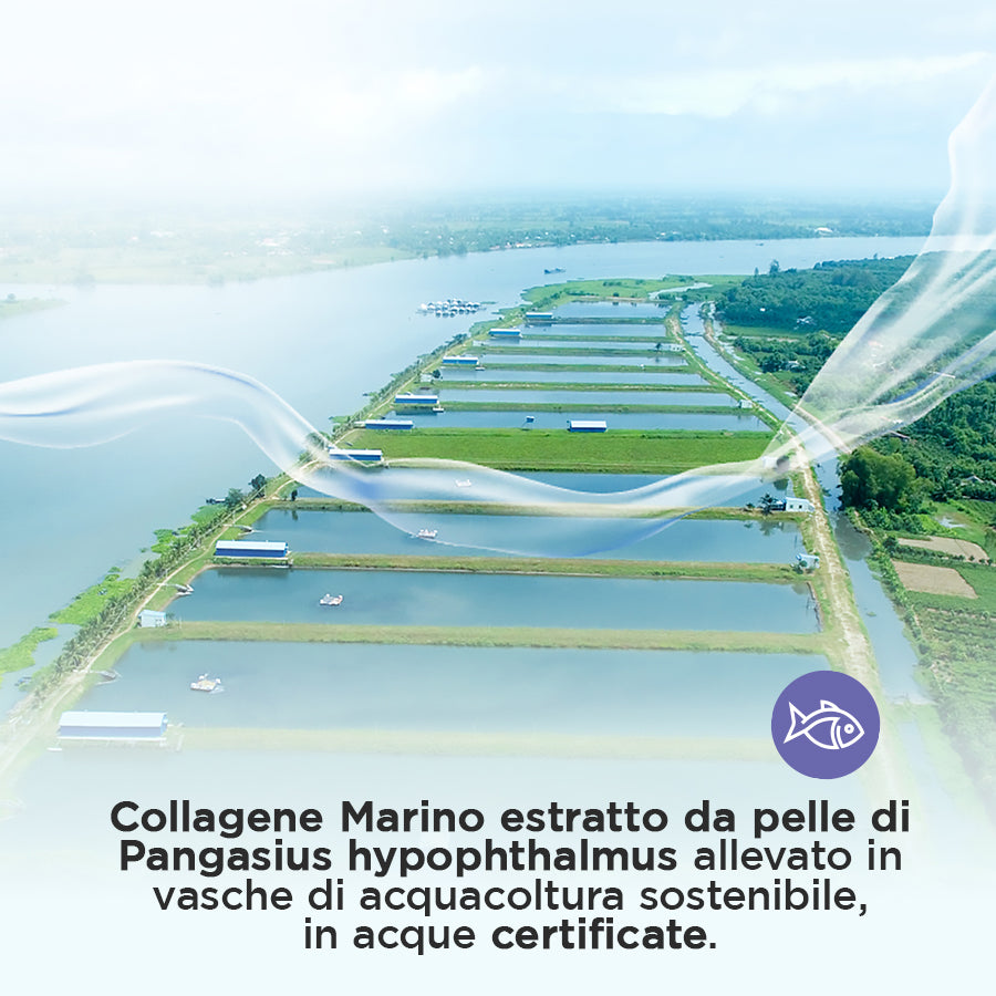 Daily Collagene Marino | 100 Dosi