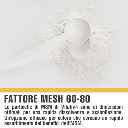 Metil Sulfonil Metano (MSM)