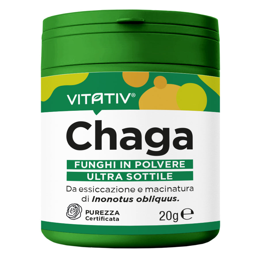 Funghi Chaga | Polvere 20g | Purezza 100%