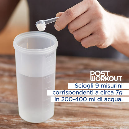 Post Workout 175g con Aminoacidi BCAA